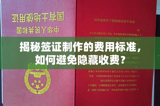 临武揭秘签证制作的费用标准，如何避免隐藏收费？