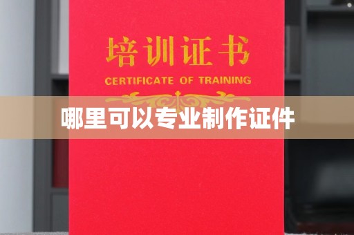临武哪里可以专业制作证件