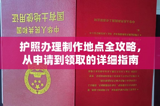 临武护照办理制作地点全攻略，从申请到领取的详细指南