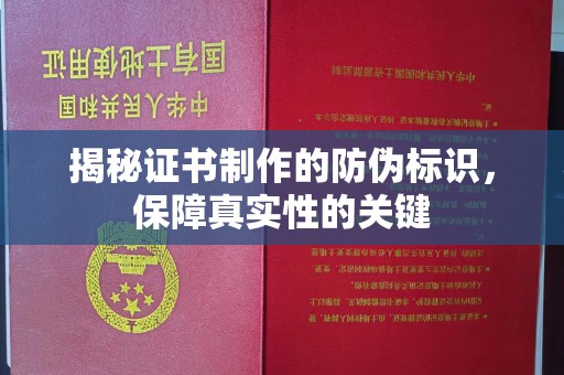 临武揭秘证书制作的防伪标识，保障真实性的关键