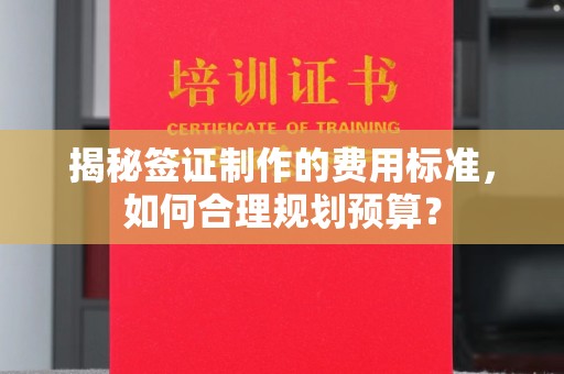 临武揭秘签证制作的费用标准，如何合理规划预算？