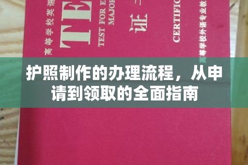 临武护照制作的办理流程，从申请到领取的全面指南