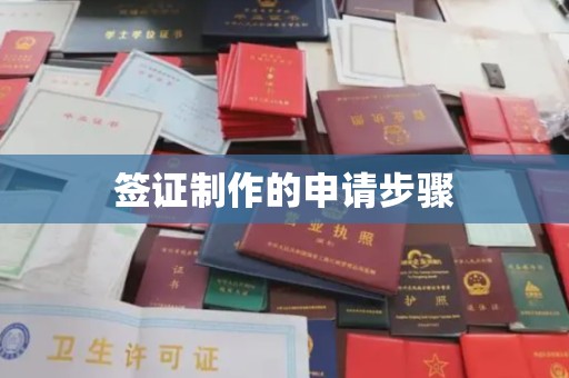 临武签证制作的申请步骤