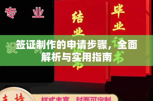 临武签证制作的申请步骤，全面解析与实用指南