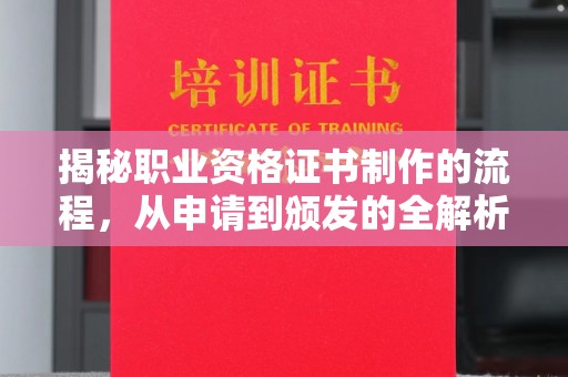 临武揭秘职业资格证书制作的流程，从申请到颁发的全解析