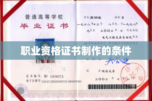 临武职业资格证书制作的条件