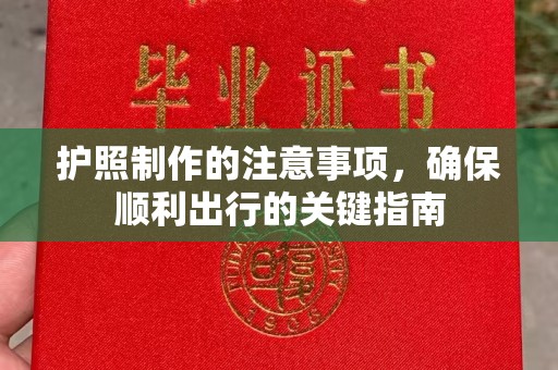临武护照制作的注意事项，确保顺利出行的关键指南