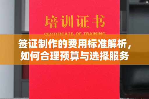 临武签证制作的费用标准解析，如何合理预算与选择服务