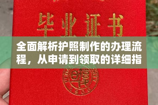 临武全面解析护照制作的办理流程，从申请到领取的详细指南