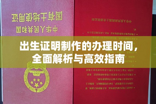 临武出生证明制作的办理时间，全面解析与高效指南