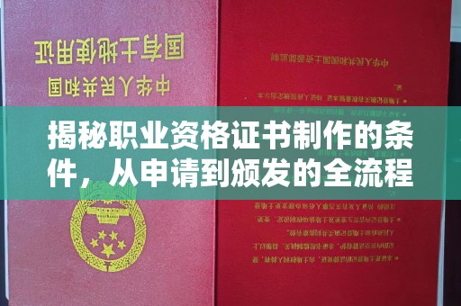 临武揭秘职业资格证书制作的条件，从申请到颁发的全流程解析