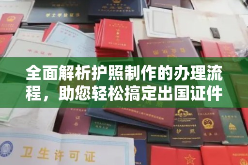 临武全面解析护照制作的办理流程，助您轻松搞定出国证件