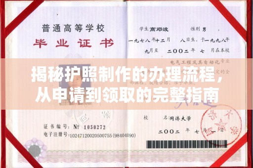 临武揭秘护照制作的办理流程，从申请到领取的完整指南