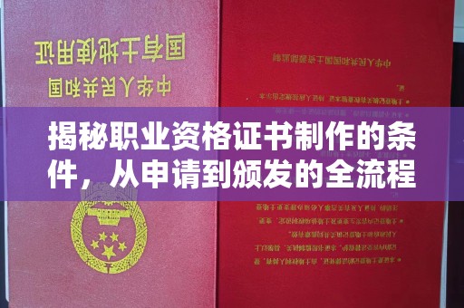 临武揭秘职业资格证书制作的条件，从申请到颁发的全流程解析