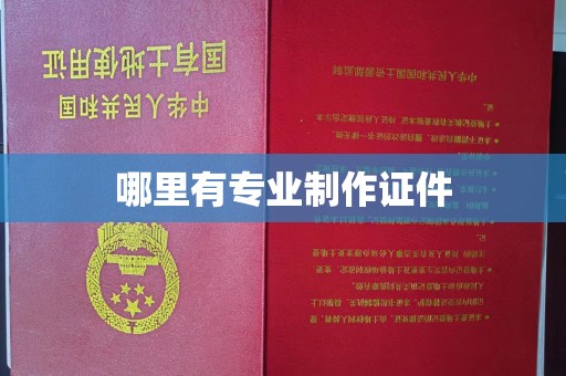 临武哪里有专业制作证件