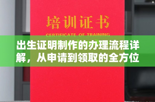 临武出生证明制作的办理流程详解，从申请到领取的全方位指南
