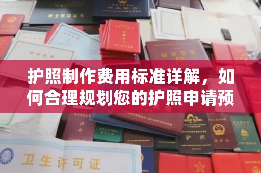 临武护照制作费用标准详解，如何合理规划您的护照申请预算