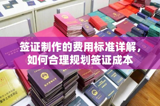 临武签证制作的费用标准详解，如何合理规划签证成本