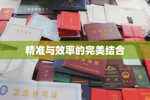 临武精准与效率的完美结合