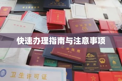临武快速办理指南与注意事项